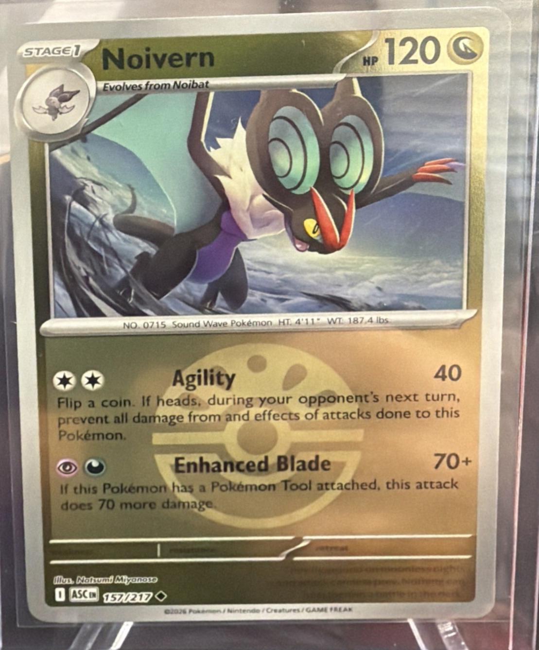 Ascended Heroes Noivern [Ball] Pokémon card